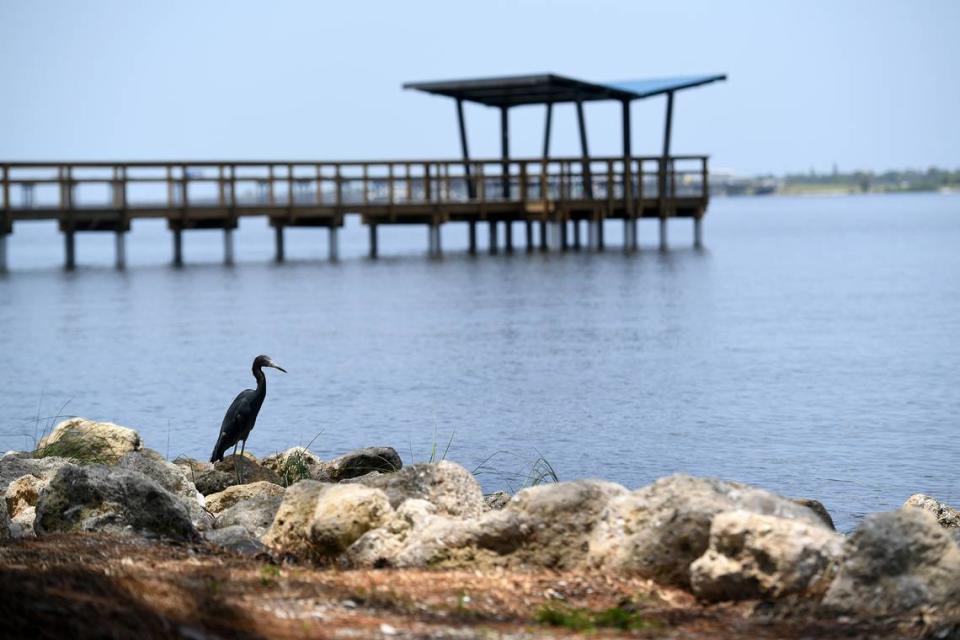 Manatee County leaders have declared a local state of emergency ahead of a severe storm that is predicted to impact Southwest Florida and the eastern United States on Tuesday. Tiffany Tompkins/ttompkins@bradenton.com