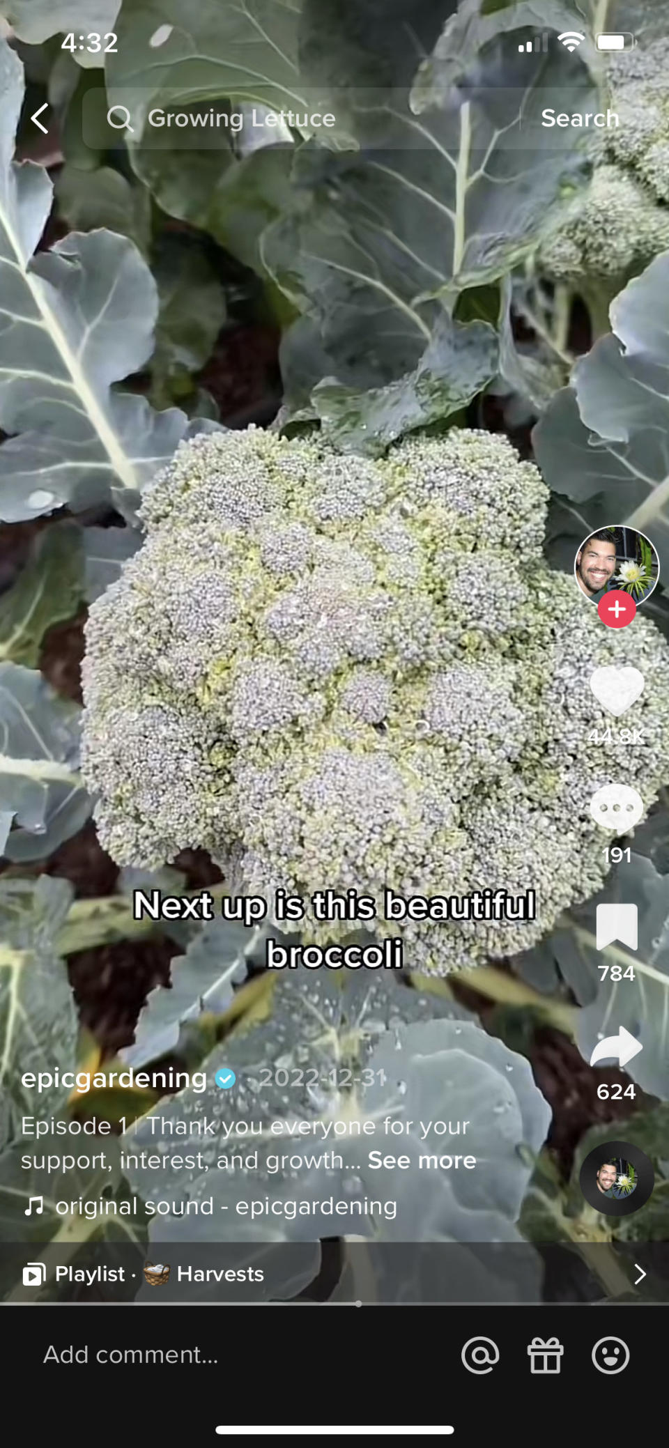 Close-up of broccoli grown in Kevin's yard