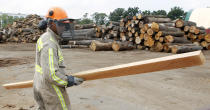 In this Wednesday, Aug. 15, 2012 photo, Andre Scott, of Jersey City, N.J., carries a piece of trimmed wood cut from discarded tree trunk at Citilog, in Newark, N.J. The Newark company takes unwanted trees from the so-called urban forest — parks, yards, streets and wherever else a tree might grow in a city — and turns them into furniture, flooring and other materials. (AP Photo/Mel Evans)