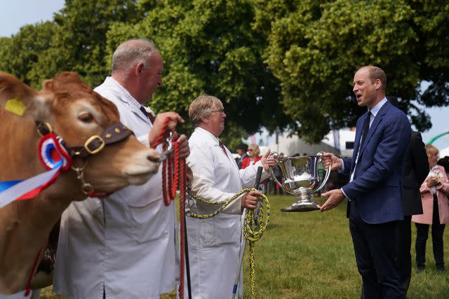 <p>Joe Giddens - Pool/Getty Images</p> Prince William at the Royal Norfolk Show on June 29, 2023.