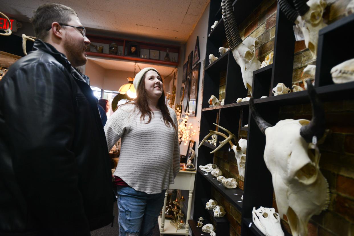 Jared Ackroyd and Katie Griggs survey the wall of animal skulls during the grand opening of SmithodditieS on 207 East Main St. in Jackson, Tenn., on Saturday, Jan. 6, 2024.