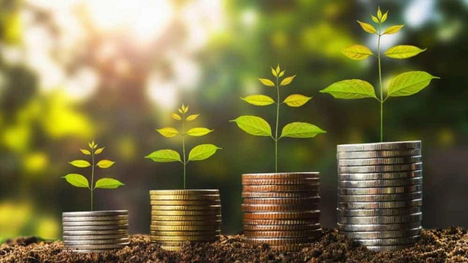 Plant shoots on stacked coins