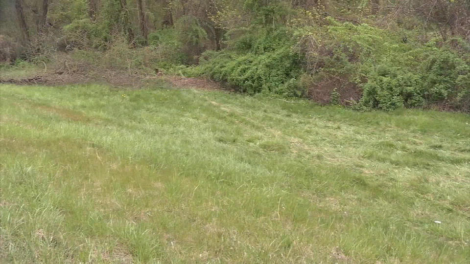 A man was killed in a car crash on Route 91 south in Hatfield / Credit: CBS Boston