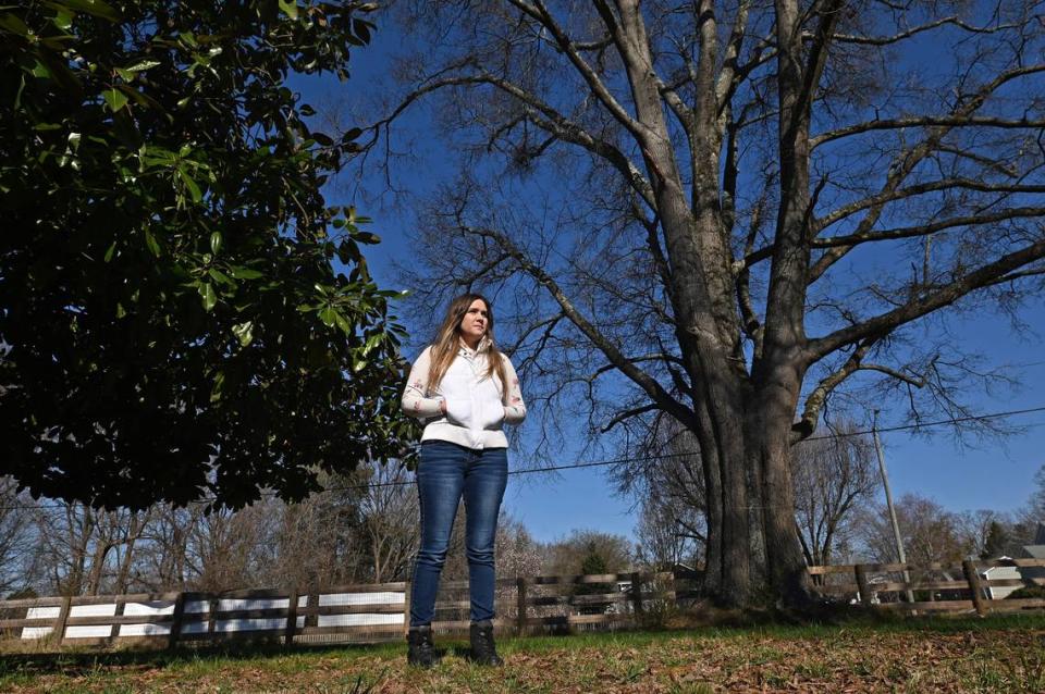 The city wants to tear down a 75-foot-tall willow oak tree to put in a sidewalk. Amanda Davis, the homeowner, has started an online petition to save it.