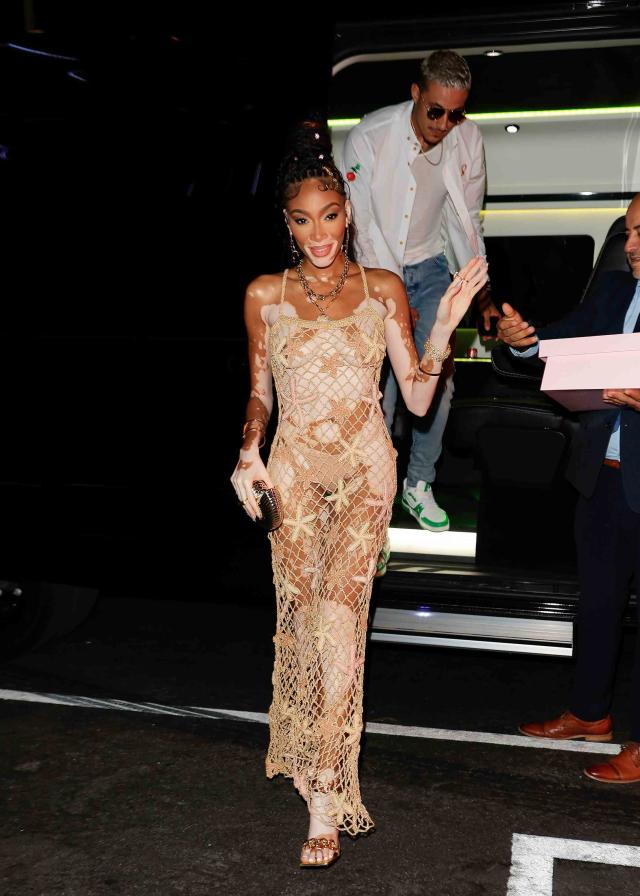 Winnie Harlow flashes the flesh in see-through corset and sheer