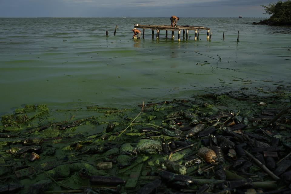 FILE - A thick greenish film covers trash and plastics polluting the waters of Lake Maracaibo, as fishermen prepare their bait in the background, in Maracaibo, Venezuela, Aug. 10, 2023. (AP Photo/Ariana Cubillos, File)