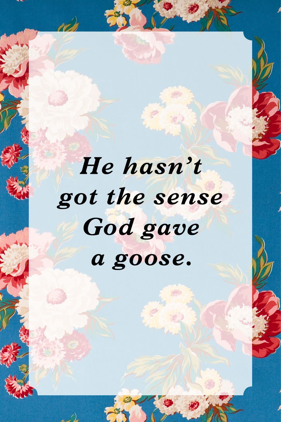 <p>"He hasn't got the sense God gave a goose."</p>