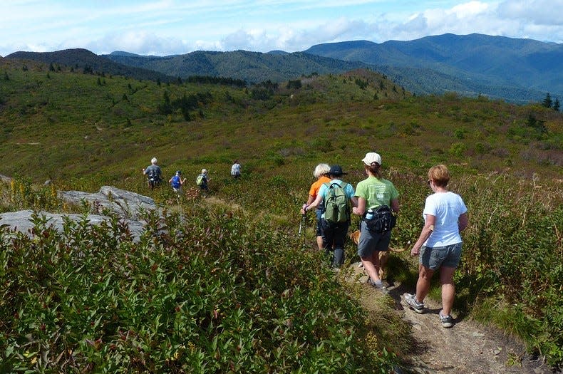 Conserving Carolina's Fall Hiking Series begins Sept. 30 and will offer an opportunity to enjoy the autumn season by attending five guided hikes, four taking place every other Friday and the final hike on the last Saturday before Thanksgiving.