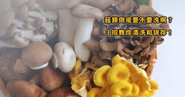 菇類的清洗與保存