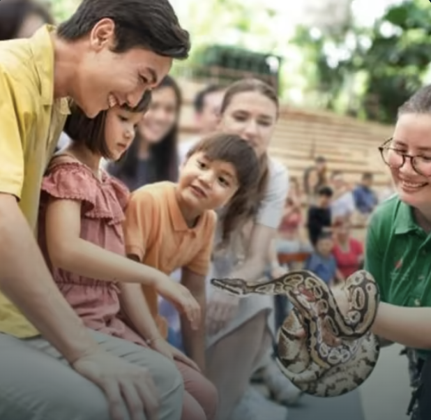 Singapore Zoo: Meet orangutans, snakes and more. PHOTO: Fever Up