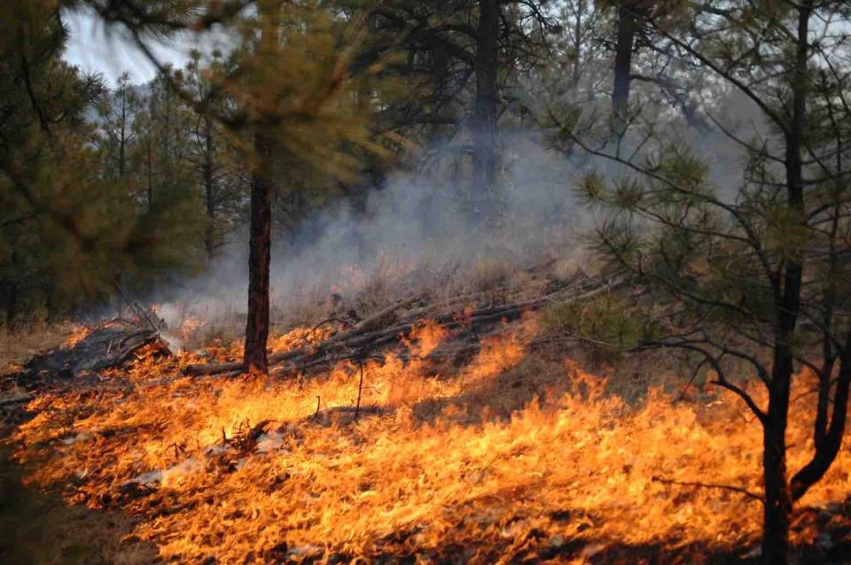 The Lake Fire burning northwest of Navajo Lake in San Juan County had burned 73 acres by the afternoon of Aug. 7, according to federal officials.
