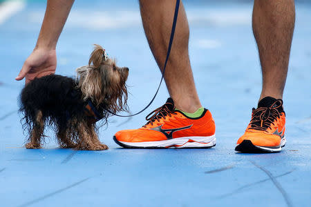 People run with their pets during a mini-marathon for dogs in Bangkok, Thailand May 7, 2017. REUTERS/Jorge Silva