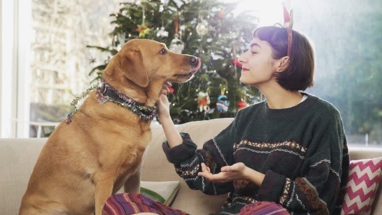 TikToker Makes Her Dogs' Christmas Dreams Come True With Elaborate Holiday Celebration
