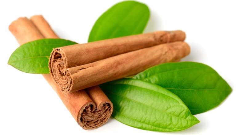 Cinnamon sticks and fresh cinnamon leaves