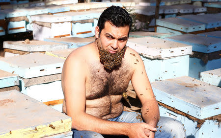 Mohamed Hagras, 31, looks on as he performs the "Beard of Bee" before the upcoming Egyptian Agricultural Carnival of Beekeeping in his farm at Shebin El Kom city in the province of Al- Al-Monofyia, northeast of Cairo, Egypt November 30, 2016. Picture taken November 30, 2016. REUTERS/Amr Abdallah Dalsh