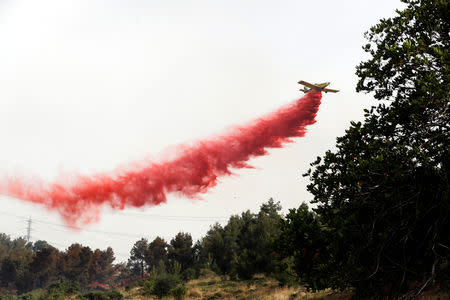 A firefighting aircraft flies over a forest near Kibbutz Harel, which was damaged by wildfires during a record heatwave, in Israel May 24, 2019. REUTERS/Ronen Zvulun