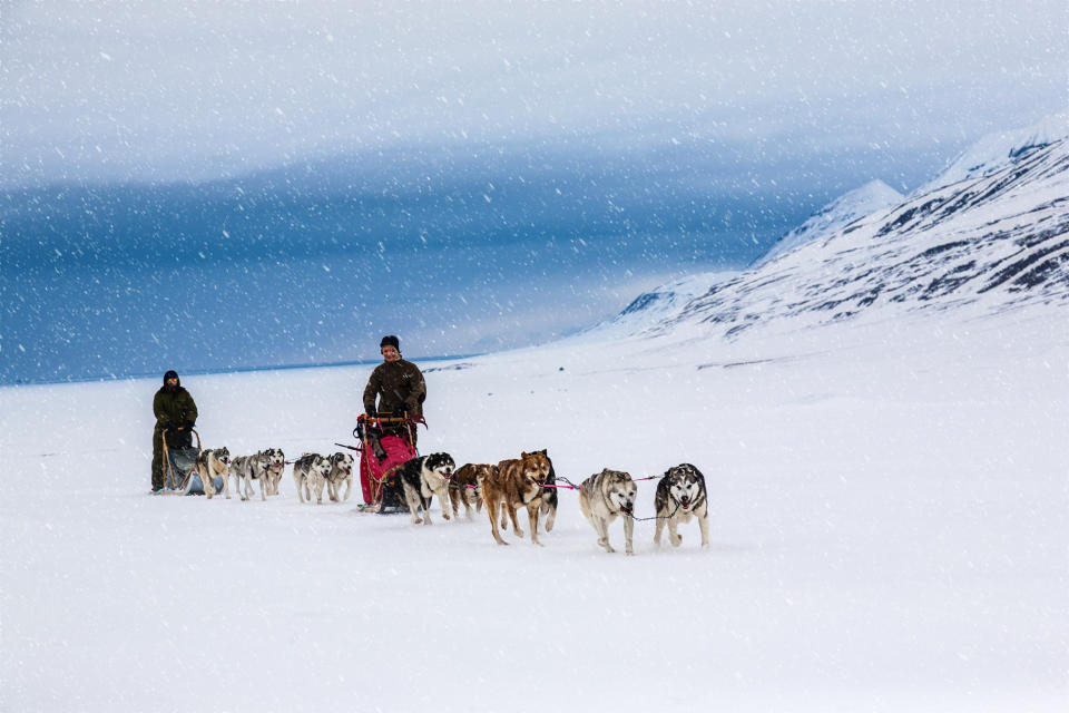 Two dog sleds mushing through snow covered field