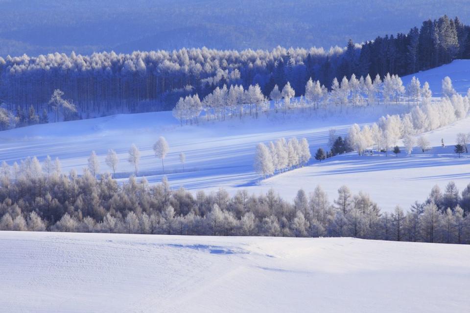 <p>Shujitsu Hill in Hokkaido, Japan // February 5, 2014</p>