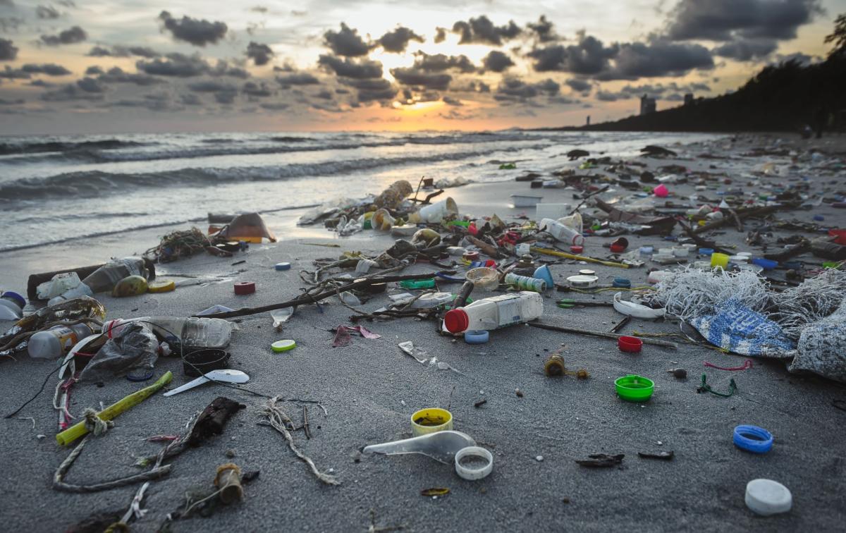 Microbiotiful - Le canard en plastique - Life Science