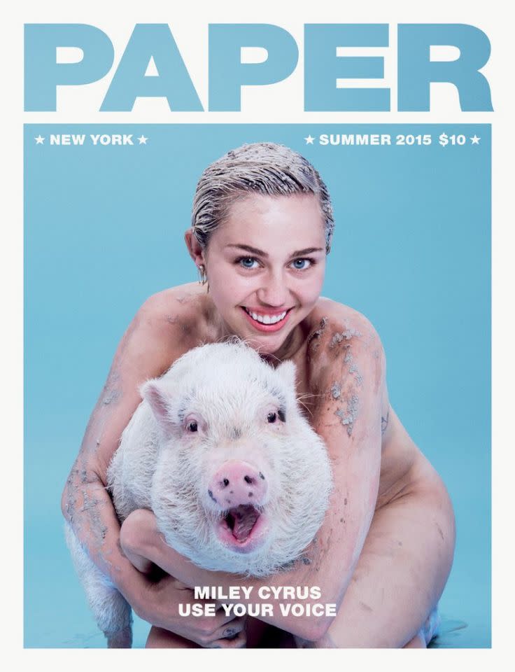 <p>Die nackte Cyrus und ihr Haustier Bubba Sue sollten Kims legendärem Cover Konkurrenz machen – aber das funktionierte nicht so richtig. [<i>Bild: Instagram/Paper Magazine</i>]</p>