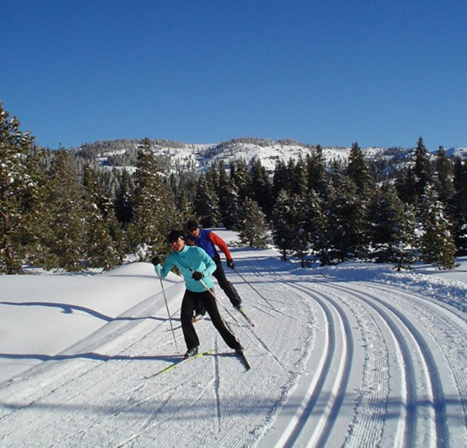 Bear Valley cross-country skiers enjoy a sunny day on groomed trails.