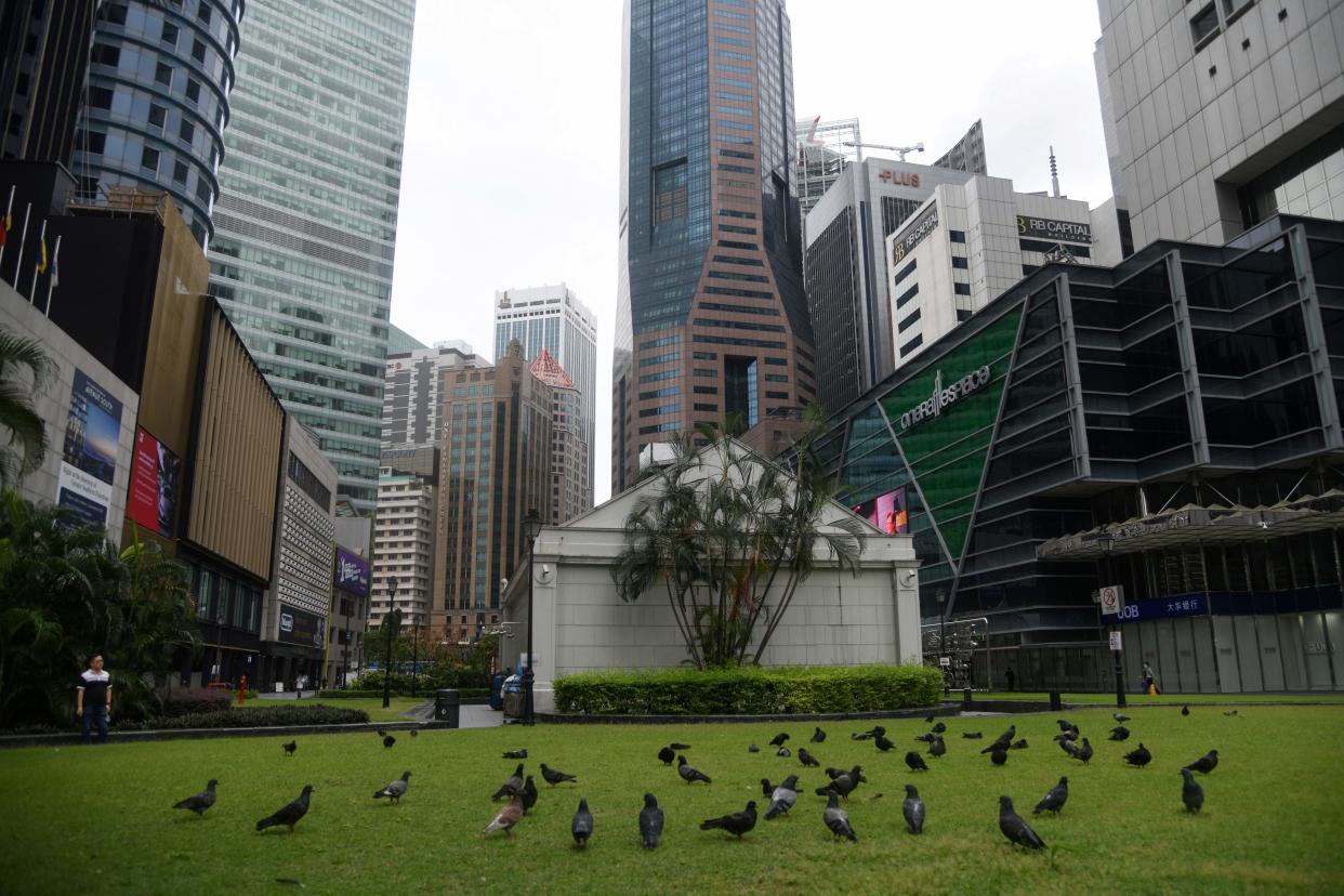 Pigeons gather in the Raffles Place Park in the financial district in Singapore on May 27, 2020. (Photo by Roslan RAHMAN / AFP) (Photo by ROSLAN RAHMAN/AFP via Getty Images)