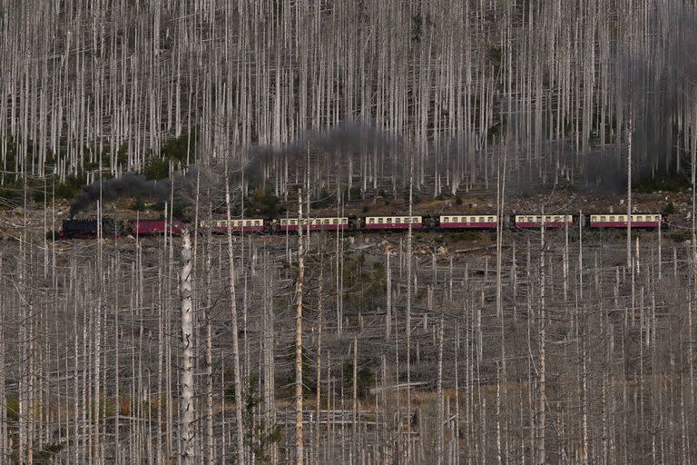 Fotos del día; fotos del año; Fotos AP; Fotos AFP; mundo; sociedad; clima; cambio climático; inundaciones; incendios;