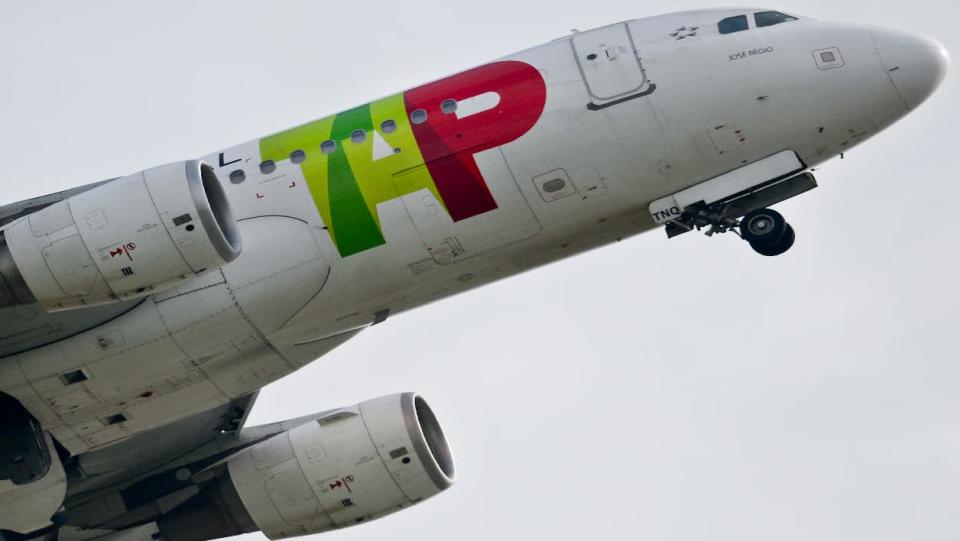 Un avion de la compagnie TAP Air Portugal. (Image d'illustration) 
 - Patricia De Melo Moreira - AFP