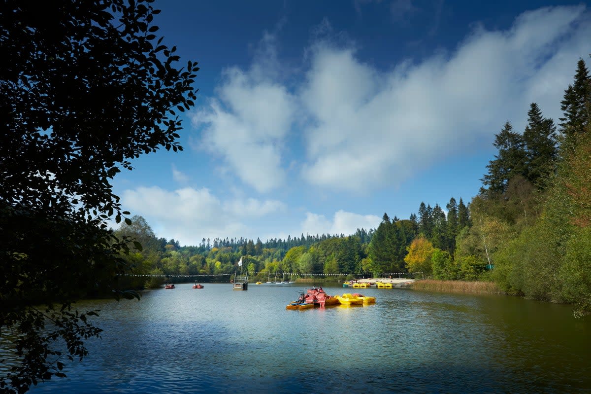 Center Parcs in Longleat opened its doors in 1994  (Center Parcs UK)