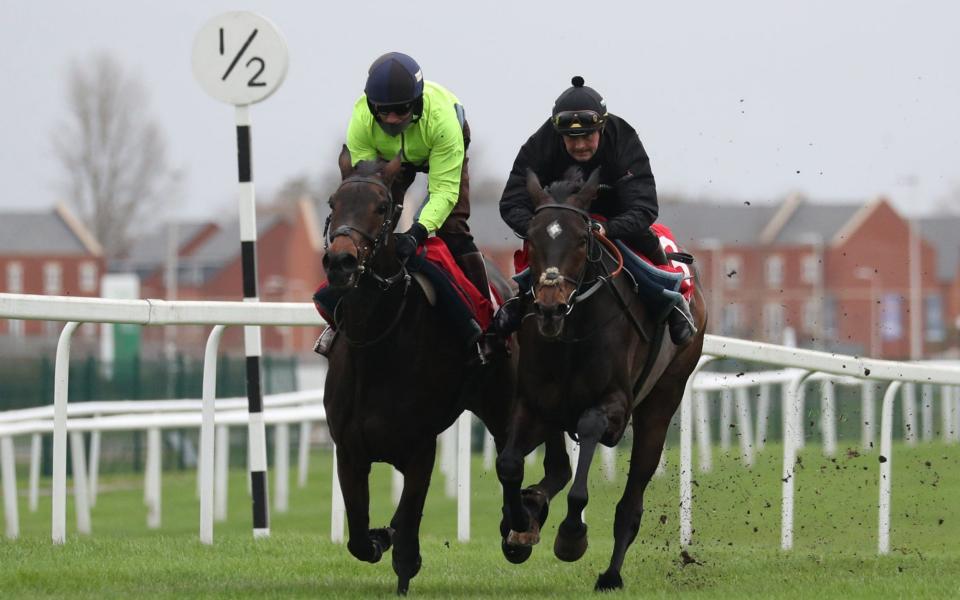 Epatante (left) and Altior (right) had a gallop at Newbury on Tuesday - PA