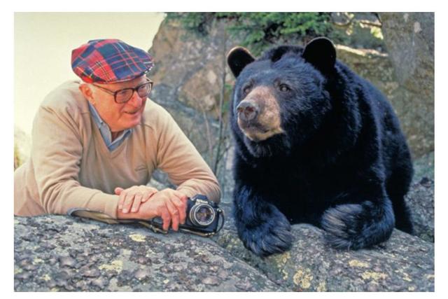 Black Bears - Grandfather Mountain