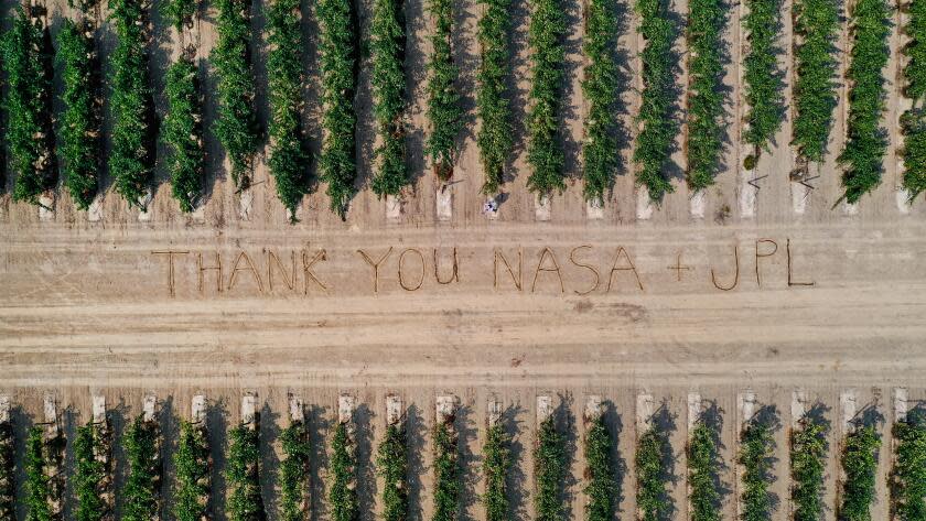 Lodi, California--Drone images of grapevines in Lodi, California taken by Stephanie Bolton on behalf of the Lodi Winegrape Commission and Aaron Lange. Cornell NASA JPL (Stephanie Bolton/Lodi Winegrape Commission)