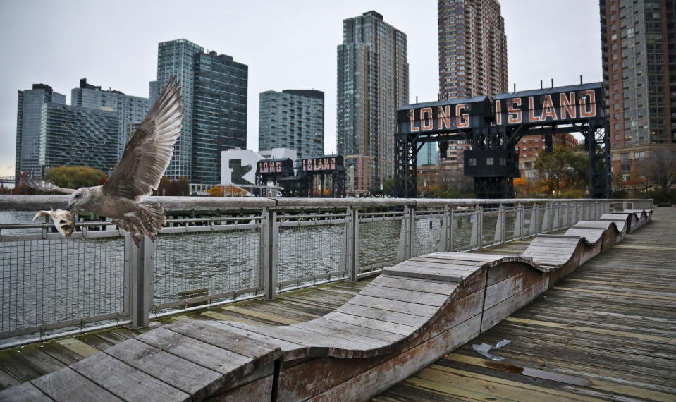 A sea gull flies off holding fish scraps near a former dock facility, with "Long Island" painted on old transfer bridges at Gantry State Park in the Long Island City section of the Queens Borough in New York, Tuesday, Nov. 13, 2018. Amazon announced Tuesday it has selected the Queens neighborhood as one of two sites for its headquarters. (AP Photo/Bebeto Matthews)