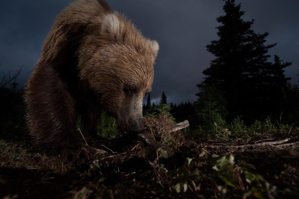 NatGeo Contest winners