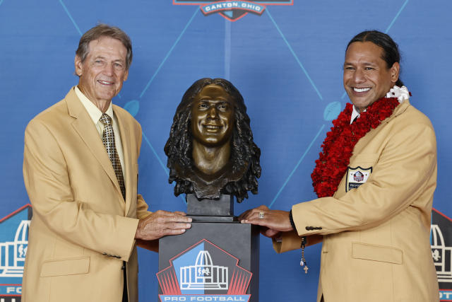 Hall of Famer Troy Polamalu. - Pittsburgh Steelers