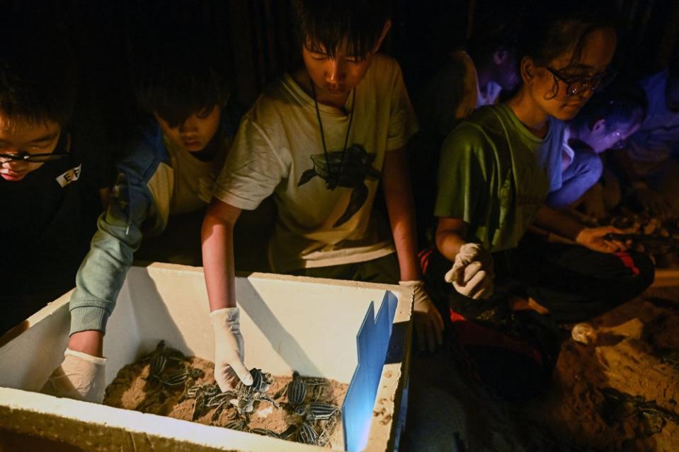 Students from the New International School of Thailand assist with the release of young leatherback turtles on Bang Khwan beach in the coastal Thai province of Phang Nga on Feb. 20. <span class="copyright">Lillian Suwanrumpha—AFP/Getty Images</span>