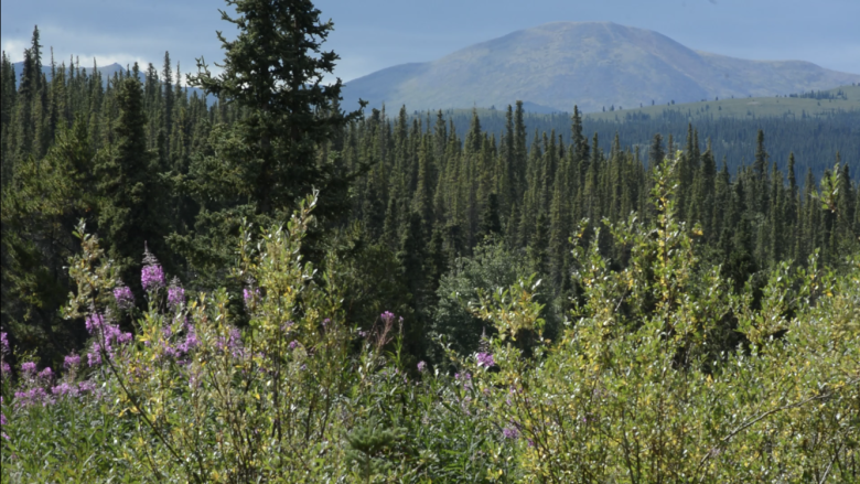 Yukon teachers meet Indigenous elders at healing camp