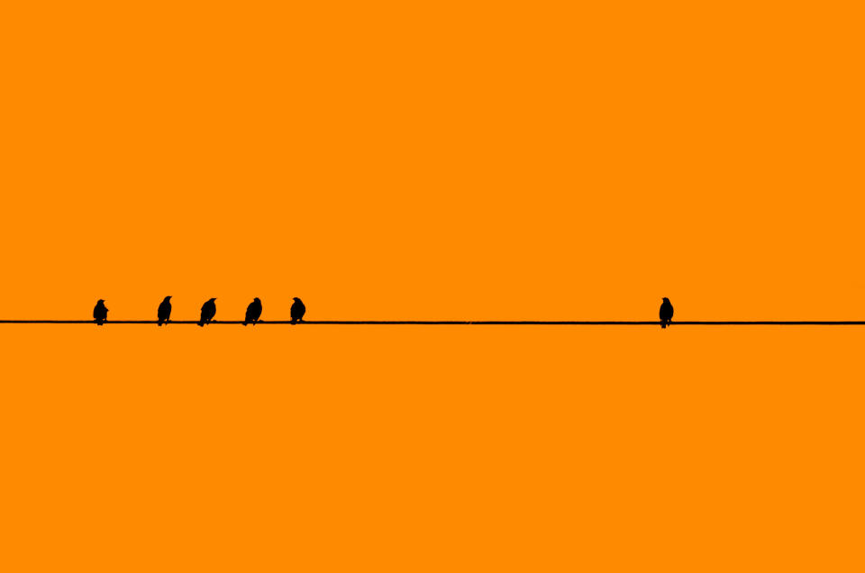 Five birds sit on a wire as another bird sits away from them