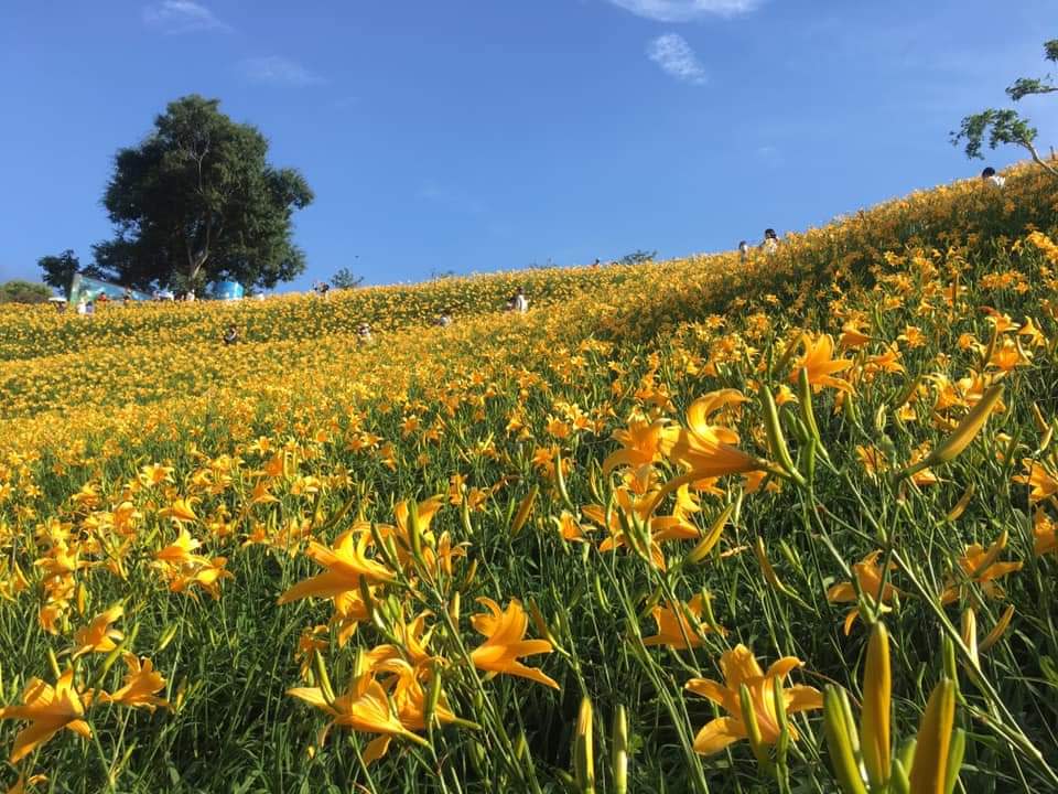 花壇虎山巖（圖片來源：花壇虎山巖三級古蹟FB）