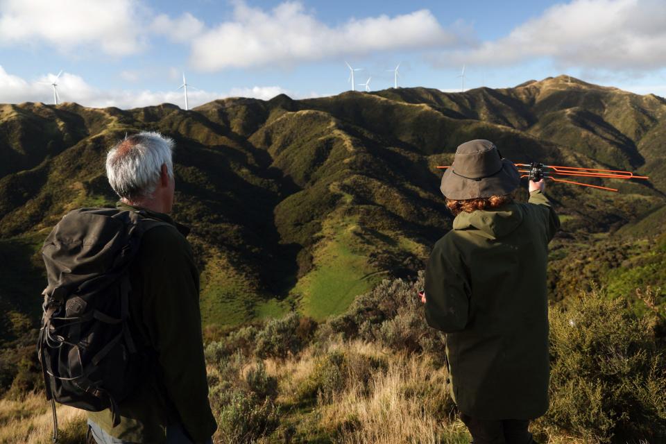 Nueva Zelanda (Photo by Marty MELVILLE / AFP) / To go with AFP story NZealand-environment-animal-kiwi,FOCUS by Ryland JAMES (Photo by MARTY MELVILLE/AFP via Getty Images)