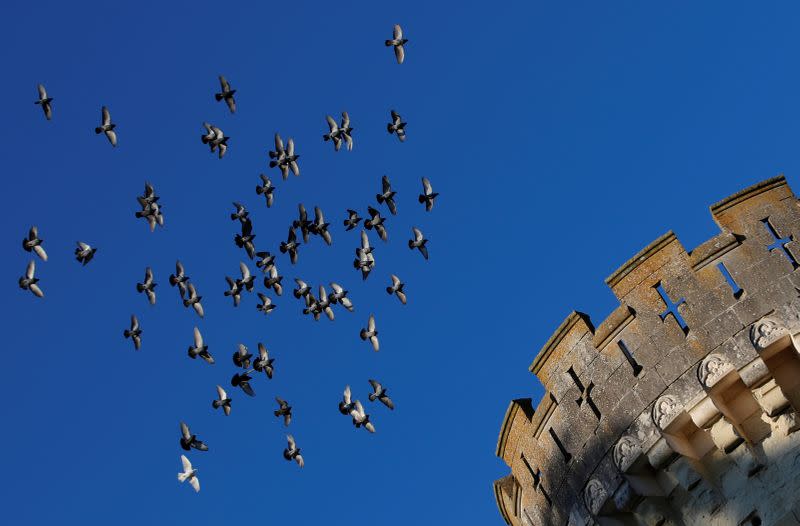 French "fairytale" Chateau with 25.000 owners prepares to celebrate Christmas