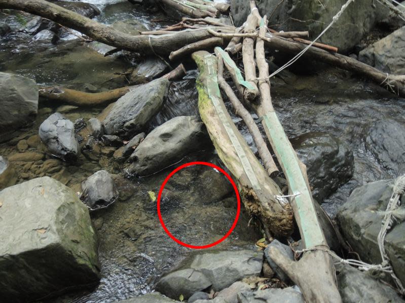死者的腿骨（紅圈處）在溪流中被登山民眾發現，送往刑事局比對DNA。