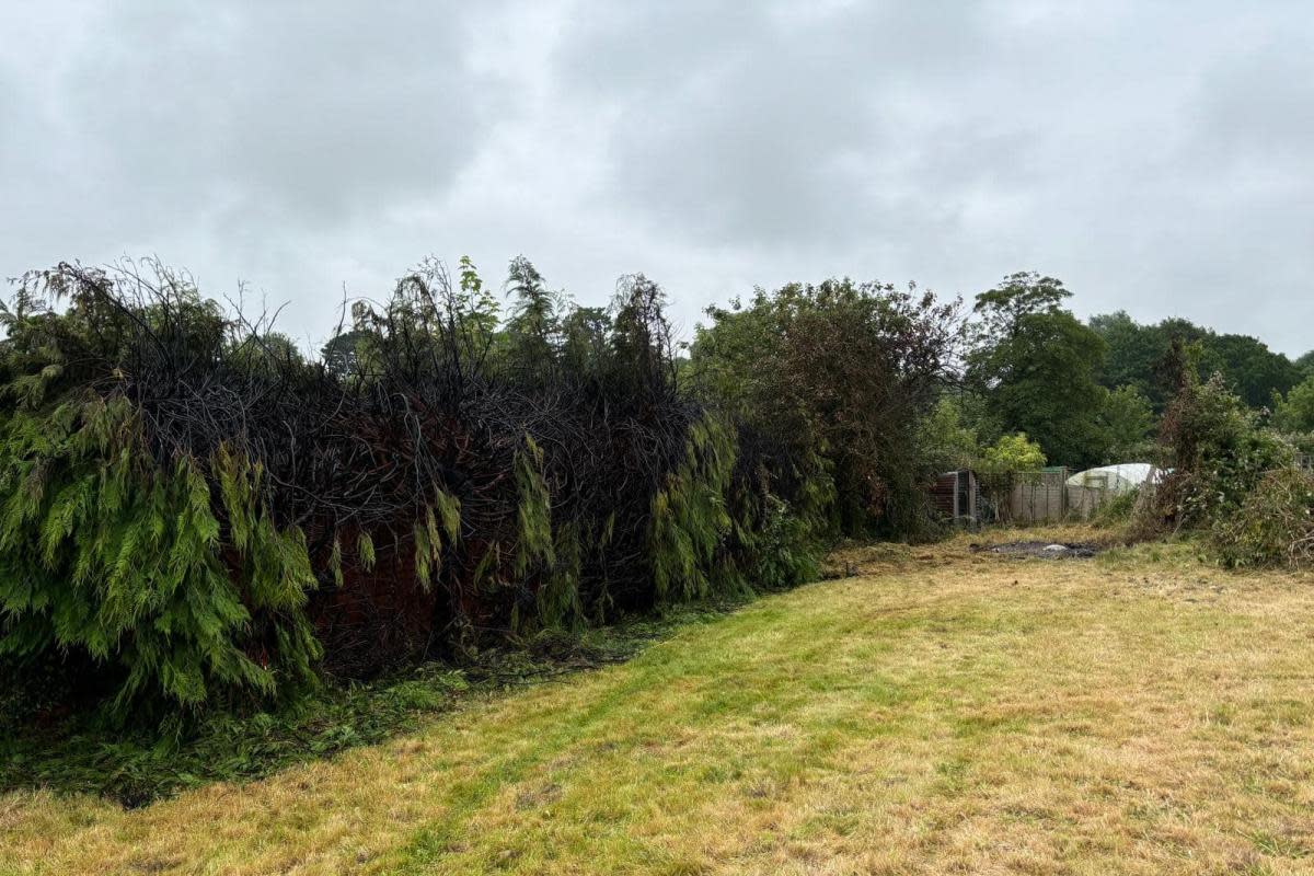 The aftermath of the hedgerow fire in Rockwell Green. <i>(Image: Wellington Fire Station)</i>