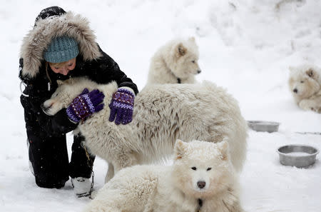 A musher pets her dog before the Sedivackuv Long dog sled race in Destne v Orlickych horach, Czech Republic, January 25, 2019. REUTERS/David W Cerny