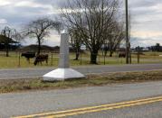 FILE PHOTO: Cattle graze on the United States side of a Canada-U.S. border marker, separating two parallel roads, in Langley