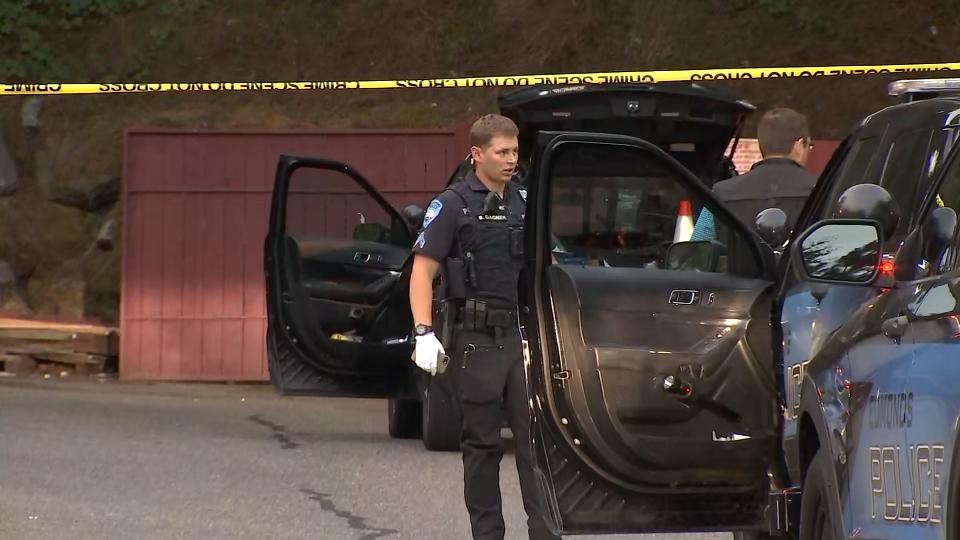 A Seattle Police officer was hurt when he was hit by his private car as it was being stolen outside an Edmonds apartment complex.