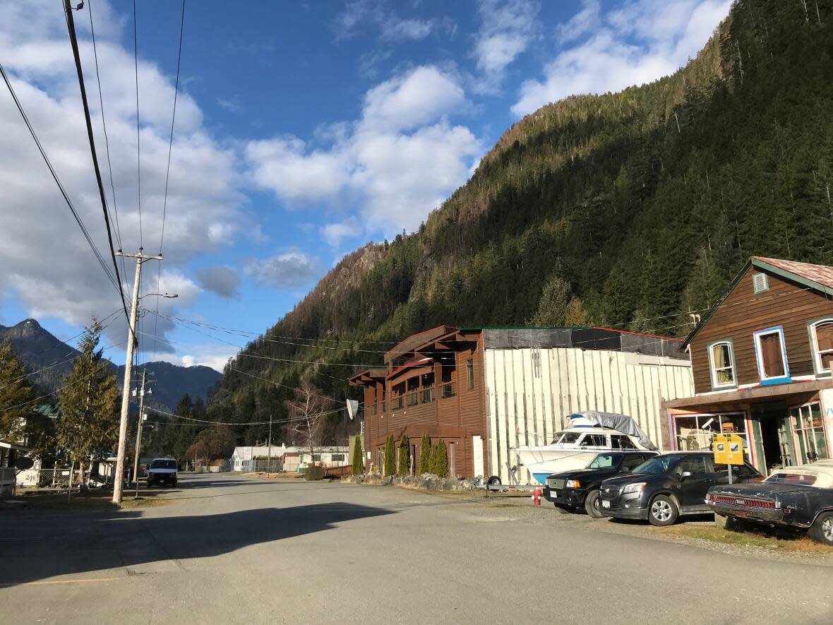 Zeballos has a population of 126, which makes it hard to muster enough volunteers for a fire department. (Megan Thomas/CBC - image credit)