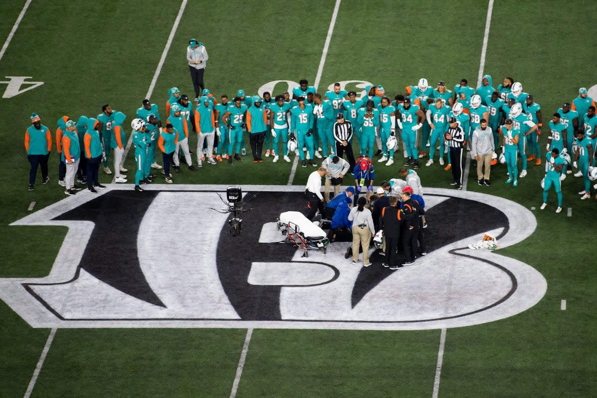 DOLPHINS-BENGALS (AP)