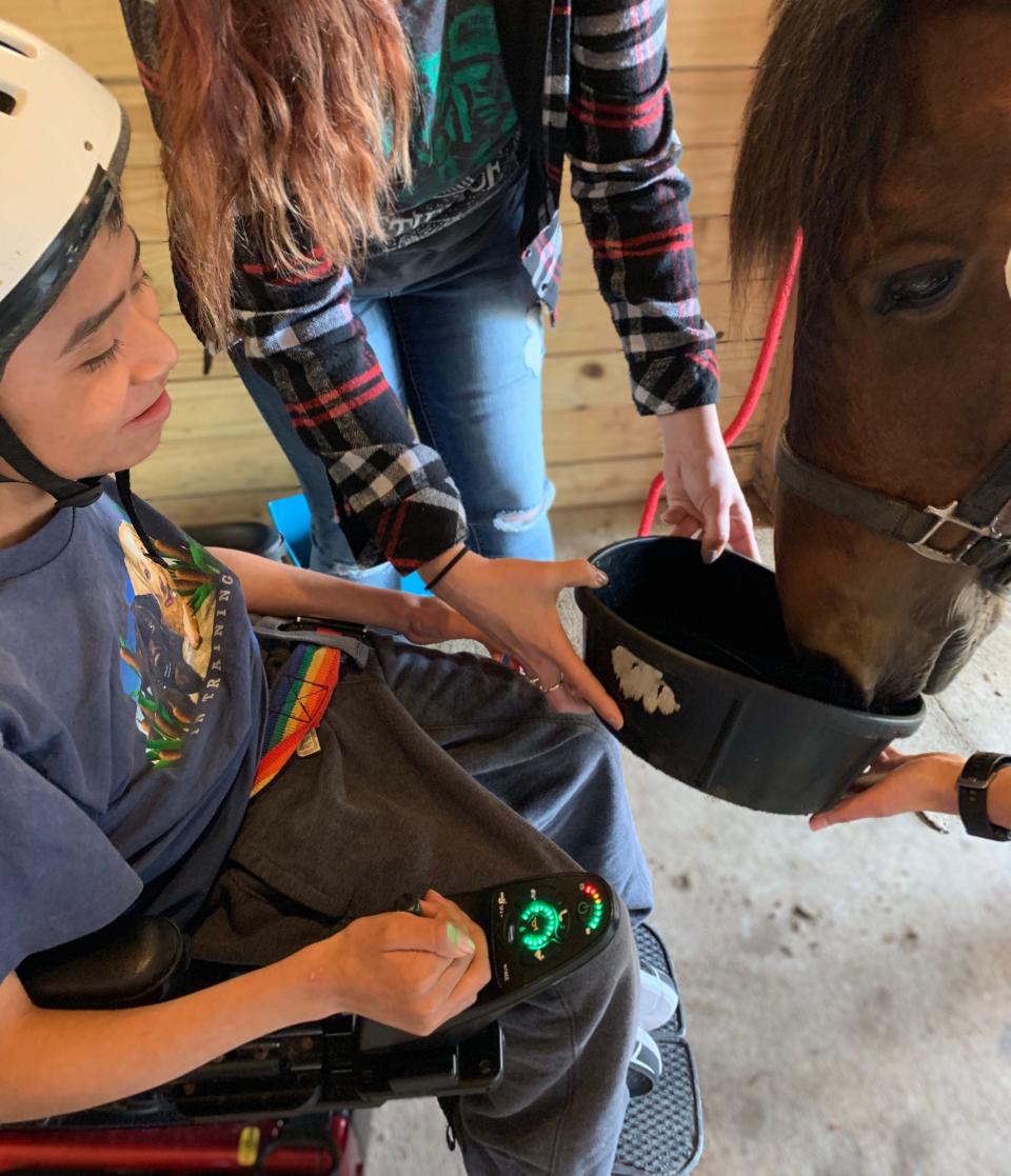 Alejandrino Mateos feeds a horse at Renew Therapeutic Riding Center.