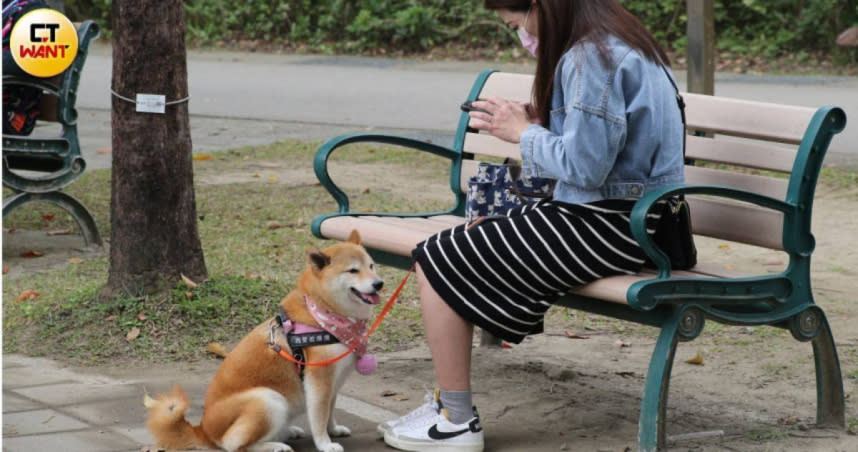 （示意圖／黃鵬杰攝）